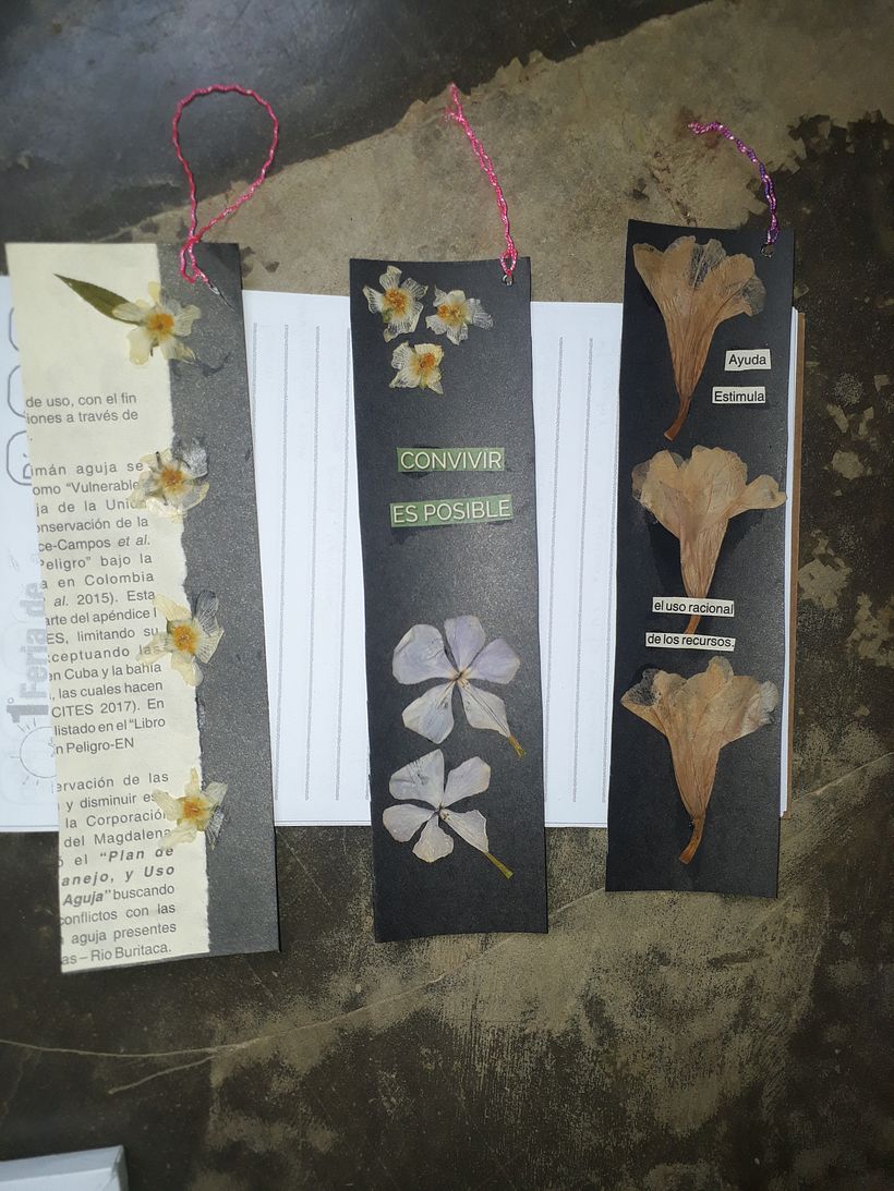 Mi Proyecto del curso: Técnicas básicas de prensado botánico 3