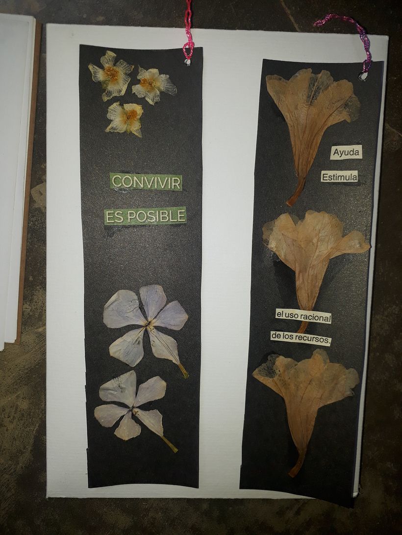 Mi Proyecto del curso: Técnicas básicas de prensado botánico 4