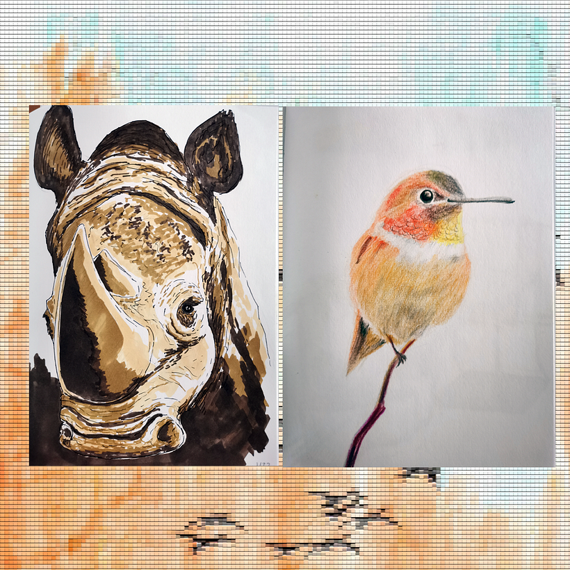 1. Free drawing of a rhinoceros / 2. Hummingbird with colored pencils.