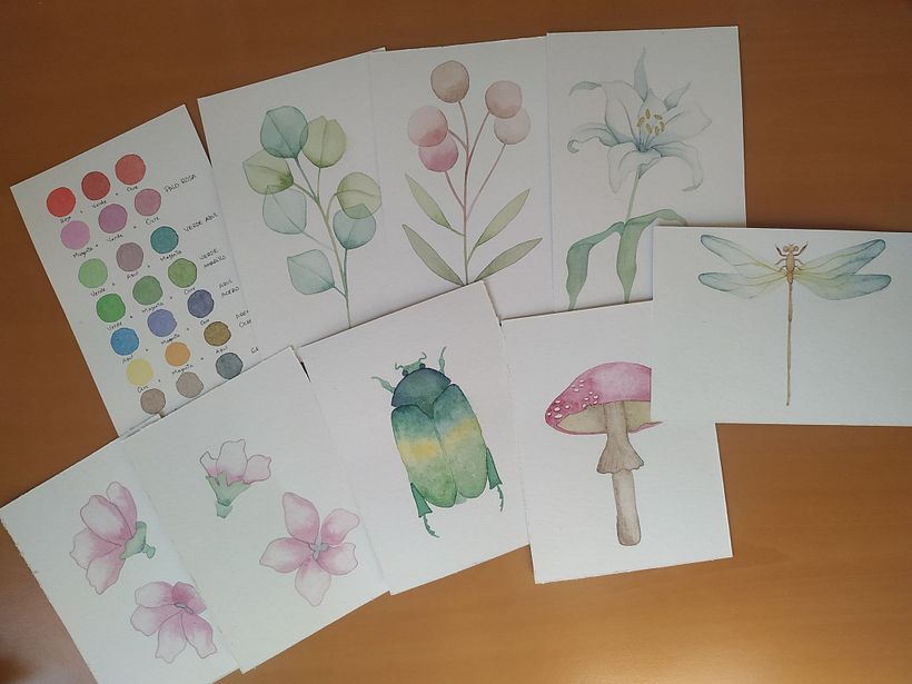 Mi paso a paso con cada Fase del curso