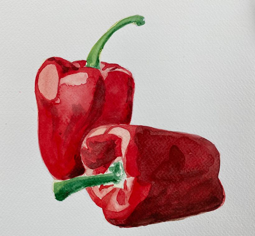 My projects in ‌Illustration of Natural Elements in Watercolor course 1