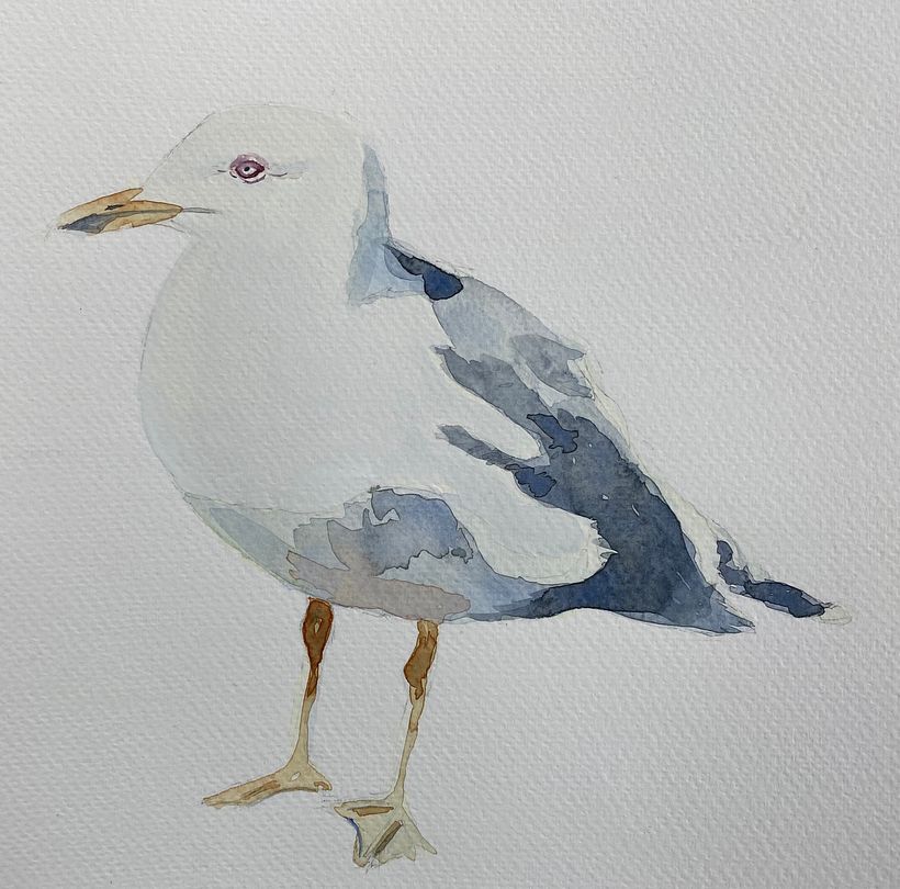 My projects in ‌Illustration of Natural Elements in Watercolor course 3