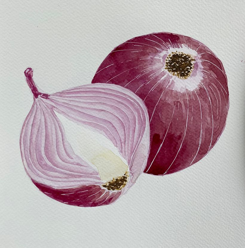 My projects in ‌Illustration of Natural Elements in Watercolor course 4