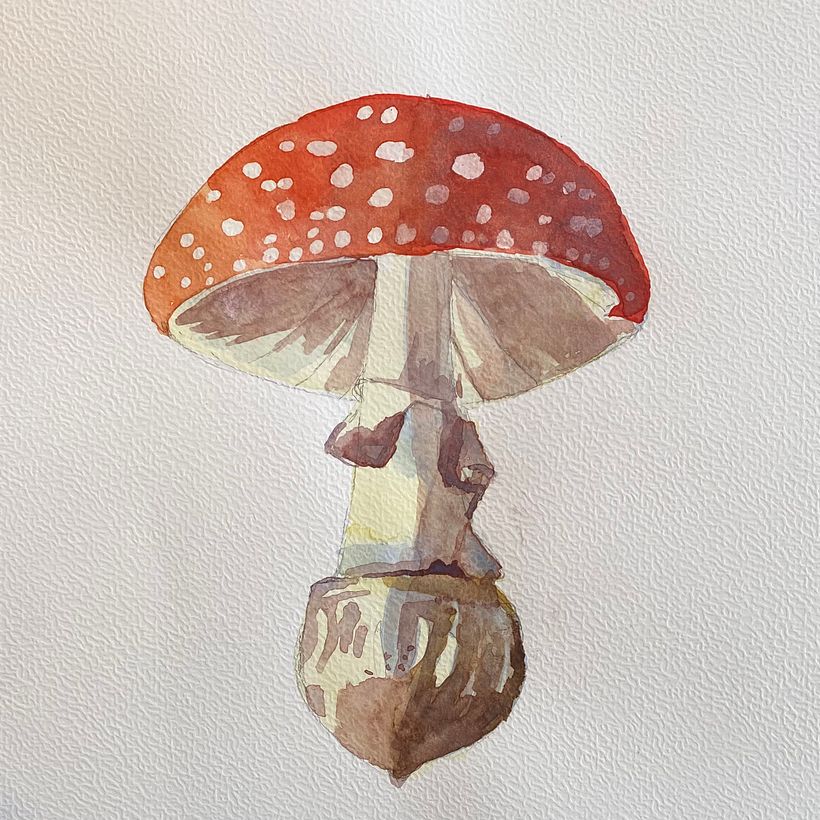 My projects in ‌Illustration of Natural Elements in Watercolor course 5