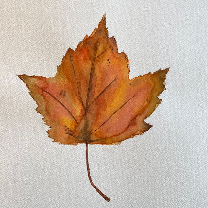 My projects in ‌Illustration of Natural Elements in Watercolor course 8