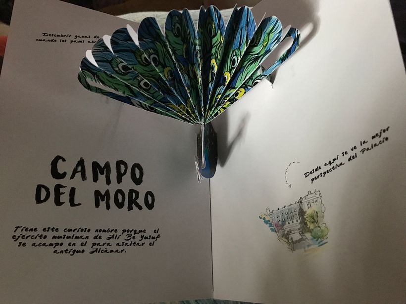 Il mio pop-up 3
