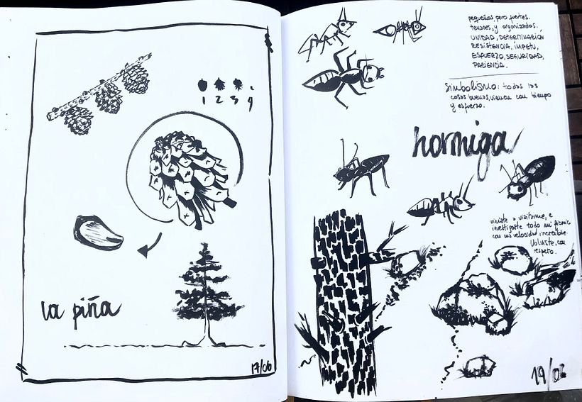 Day in the forest