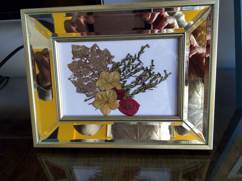 cuadro de hojas y flores desecadas