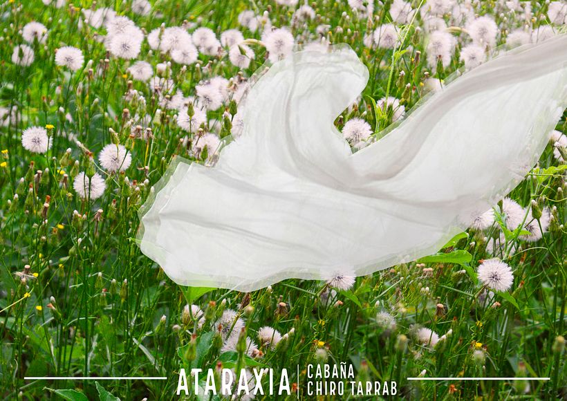 Ataraxia es el estado de ausencia de Turbación, donde hay tranquilidad y ausencia de deseos o pasiones.