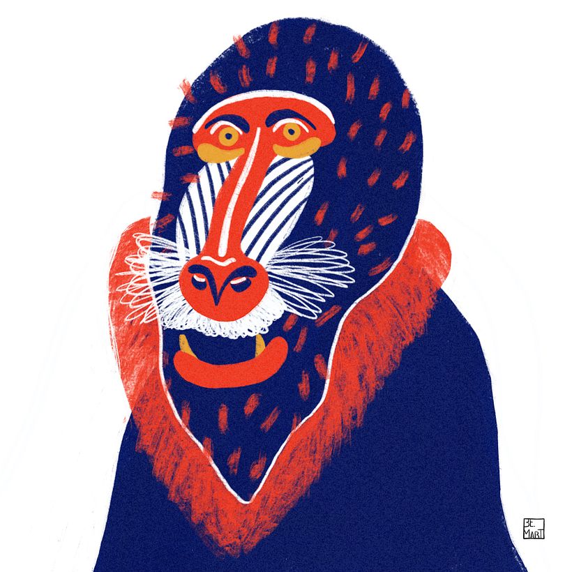 Selva animal 3
