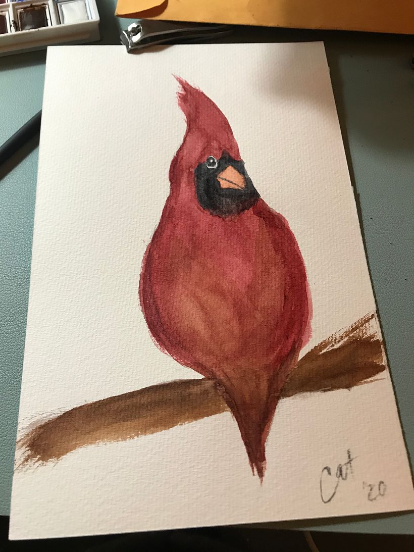 Cardinal 1
