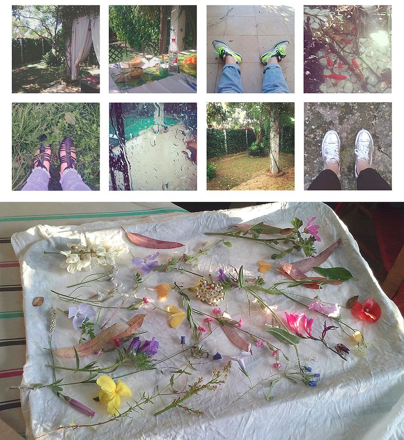 Floriletras 4