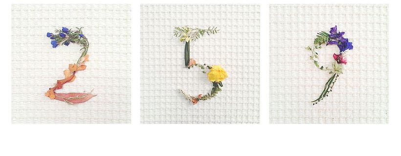 Floriletras 11