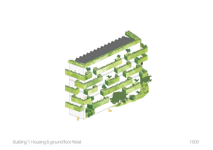 Biodiver_Cities 4