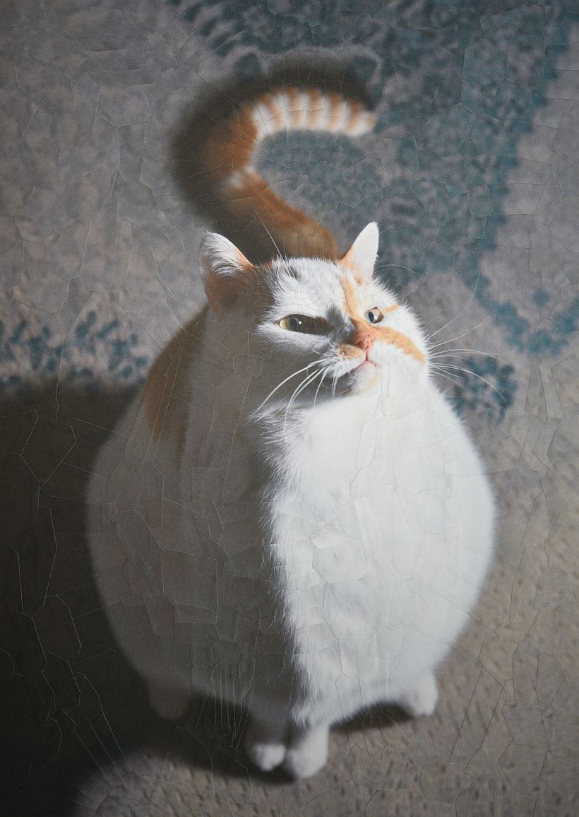 Charlie 32, 8.2 x 11.6 inches