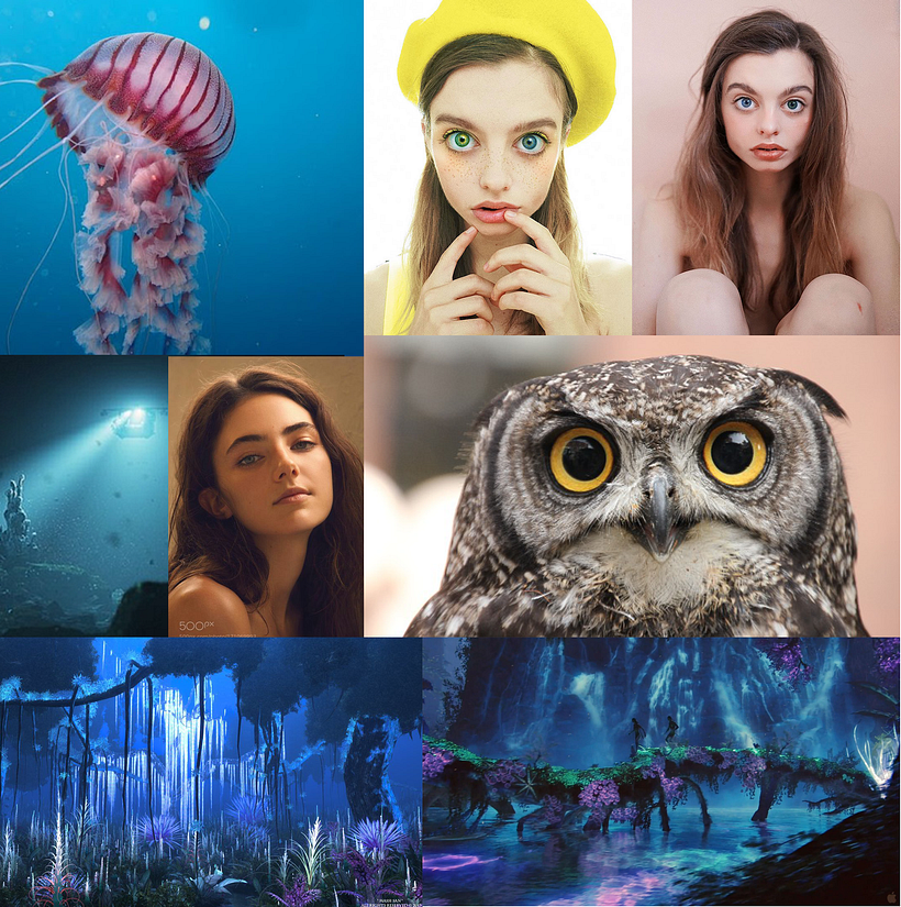 Moodboard