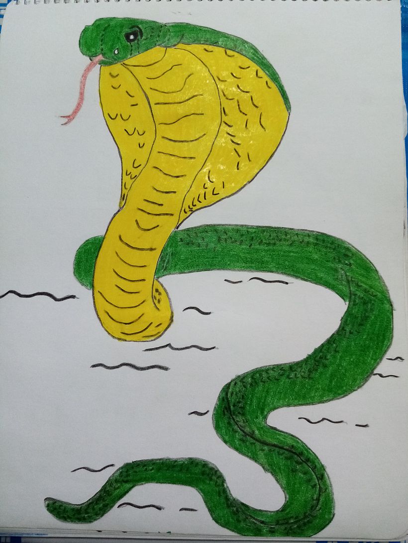 Mis dibujos 1