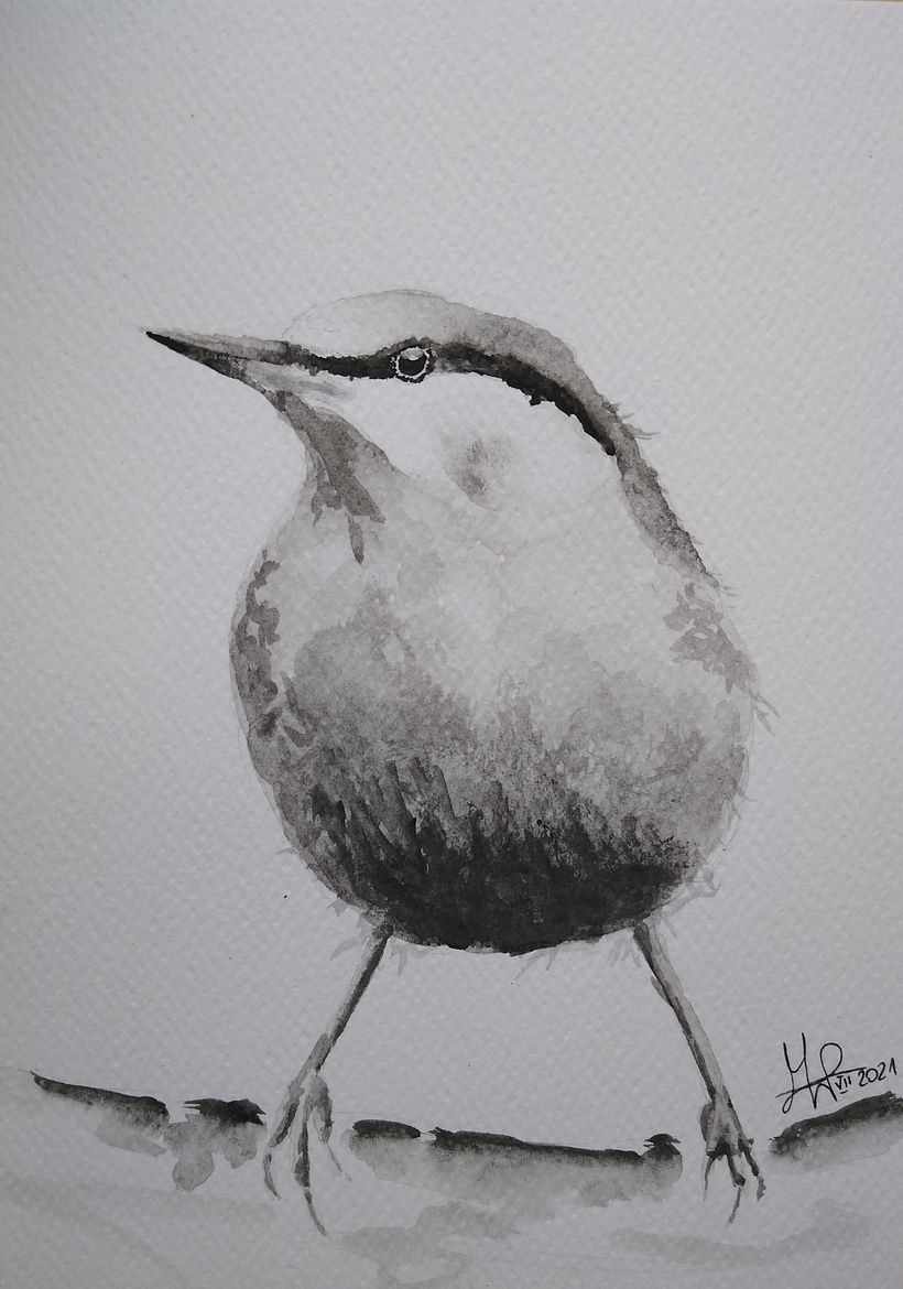 My project in Artistic Watercolor Techniques for Illustrating Birds course 2
