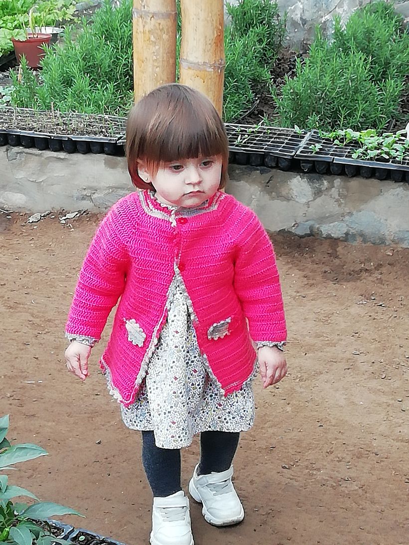 Mi proyecto del curso: Chaqueta rosa para niña 2
