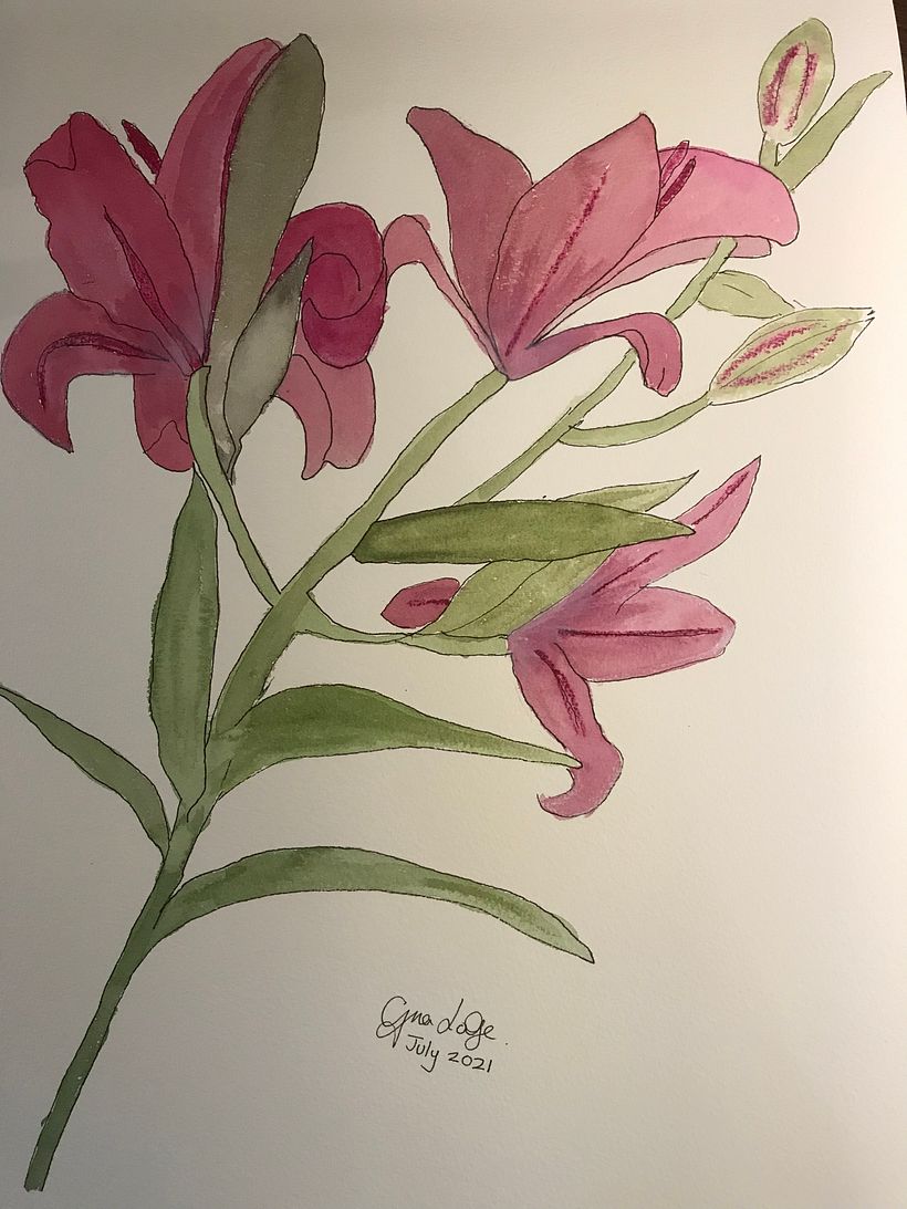 My project in Botanical Sketchbooking: A Meditative Approach course 2