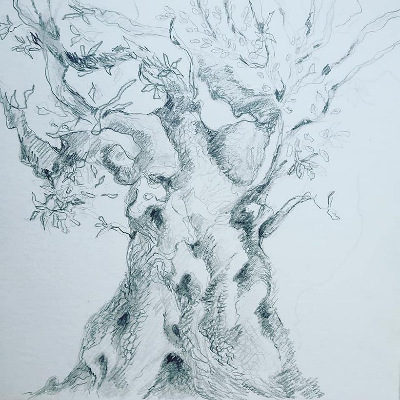 Projekt Baum Thema Natur