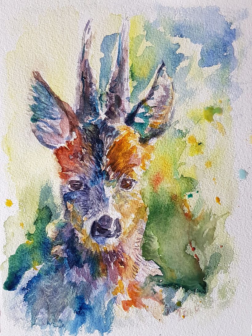 Watercolor 