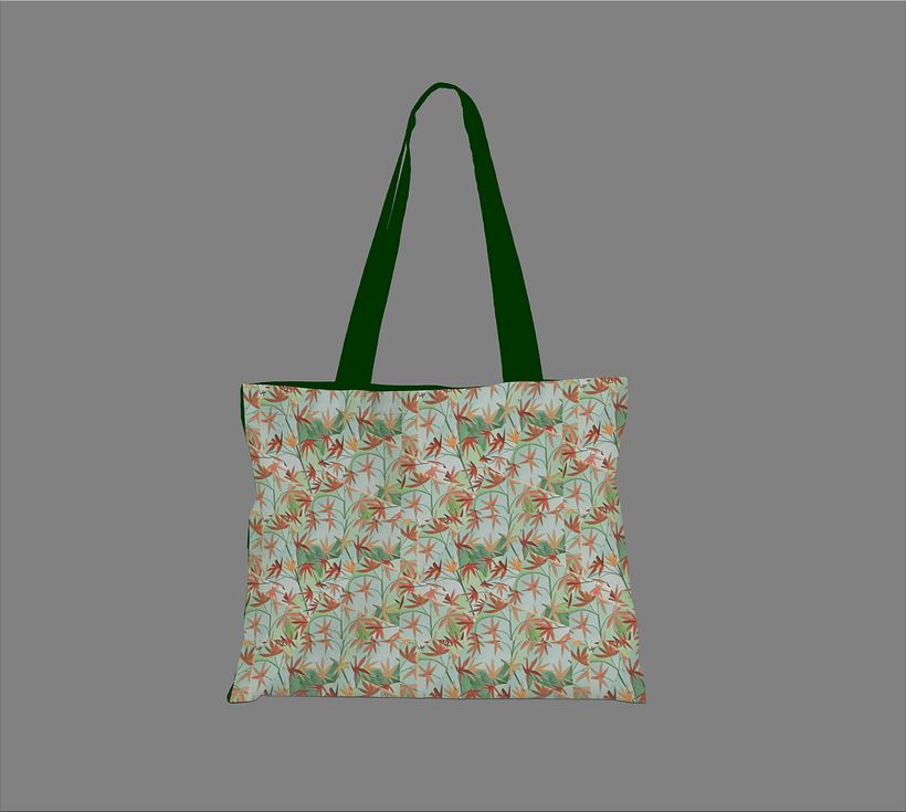 Mi Proyecto del curso: Creación de marca basada en tus propios estampados 3