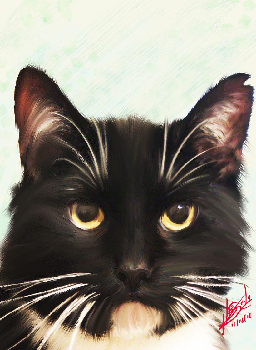 Ilustración Digital 3