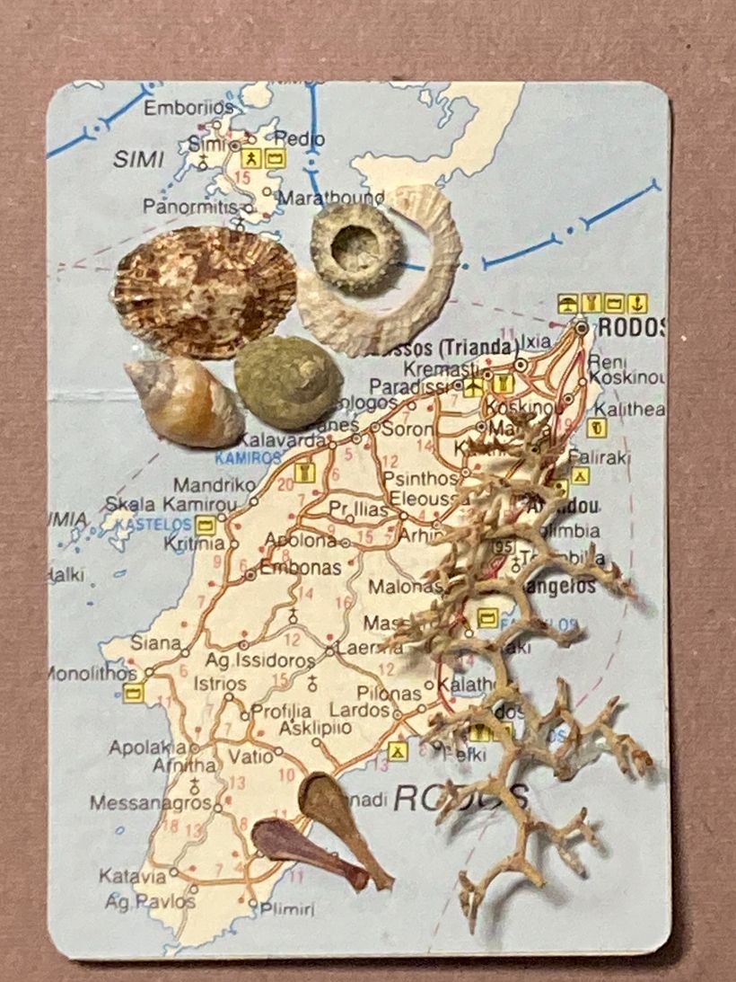 Mixed Media 1