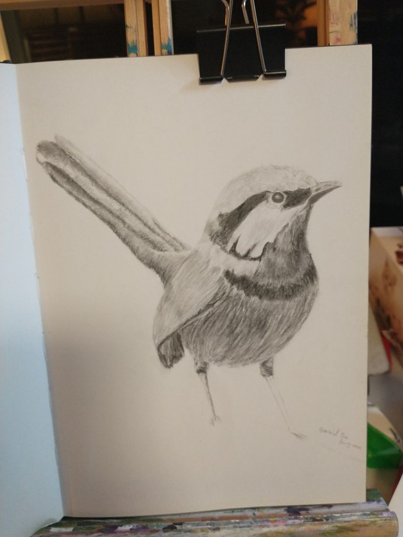 Random pages from my sketch books 10