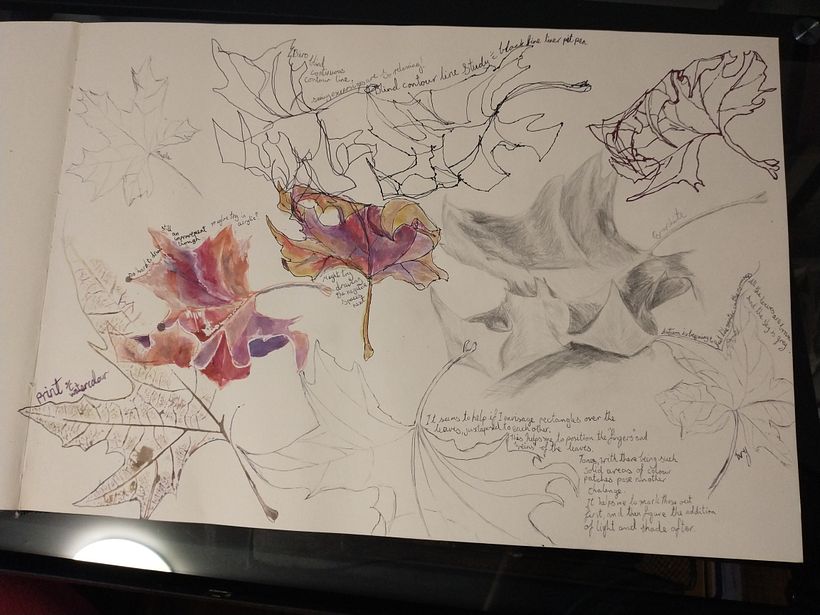 Random pages from my sketch books 13