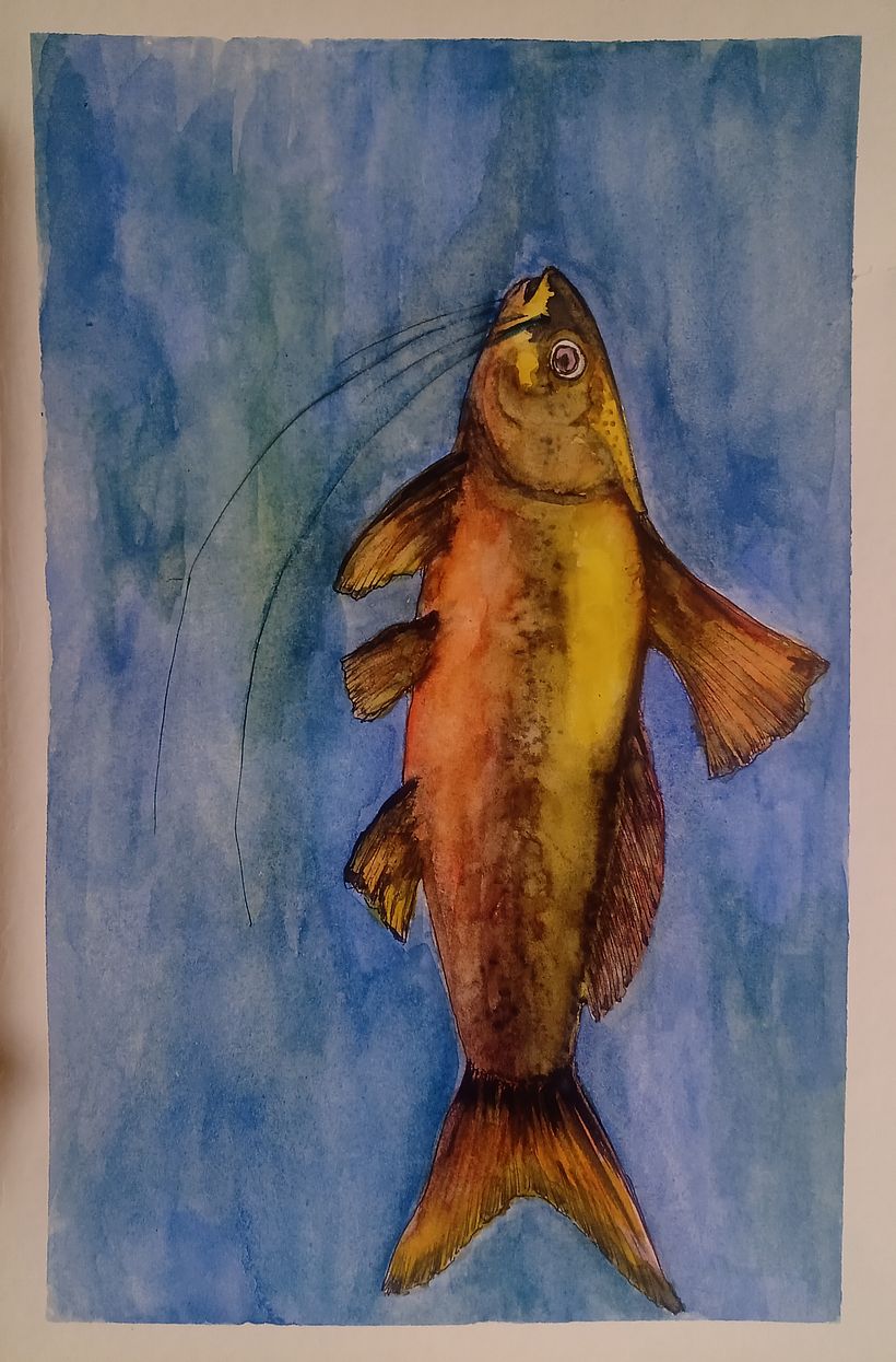 Peces 2