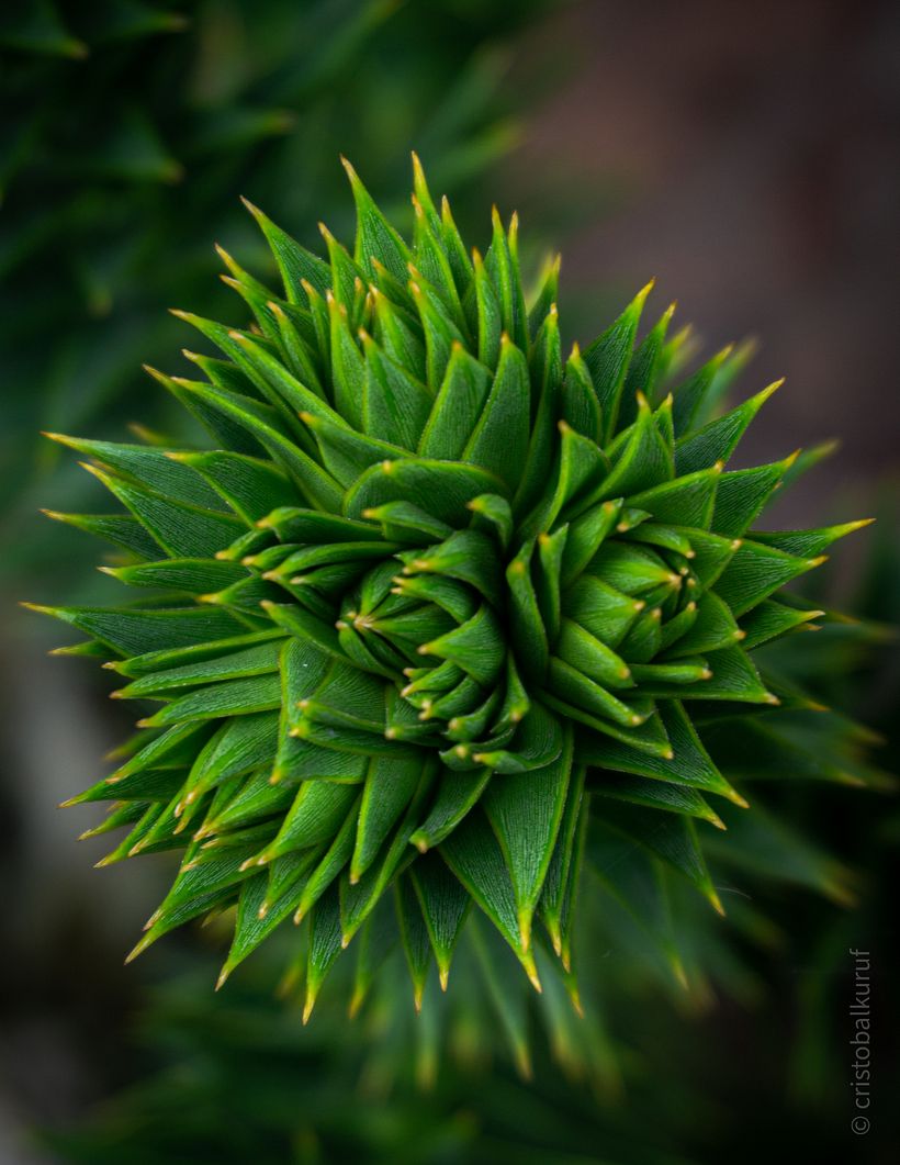 Mi Proyecto del curso: Fotografía de paisaje y naturaleza 1