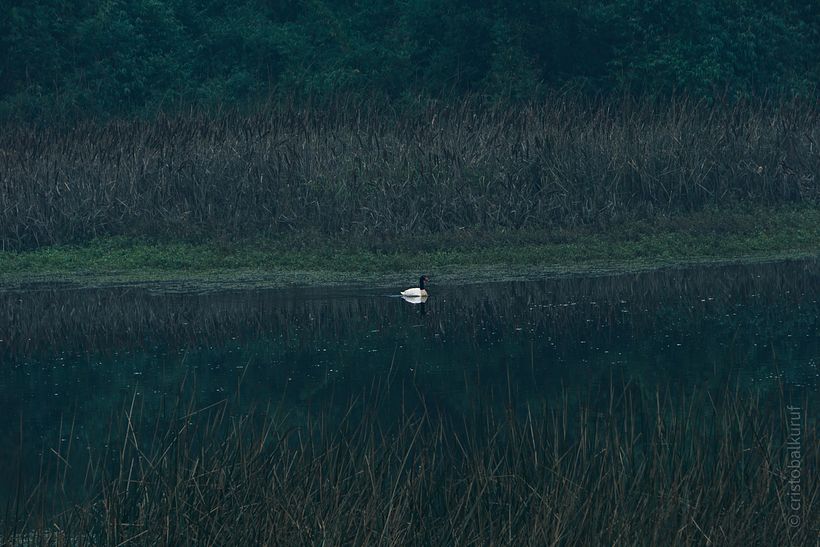Mi Proyecto del curso: Fotografía de paisaje y naturaleza 2