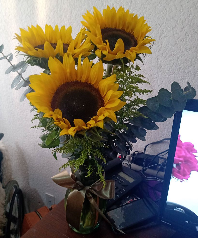Flores 4