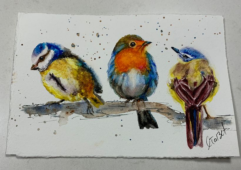 Mon projet du cours : Techniques artistiques d'aquarelle pour illustrer les oiseaux 1