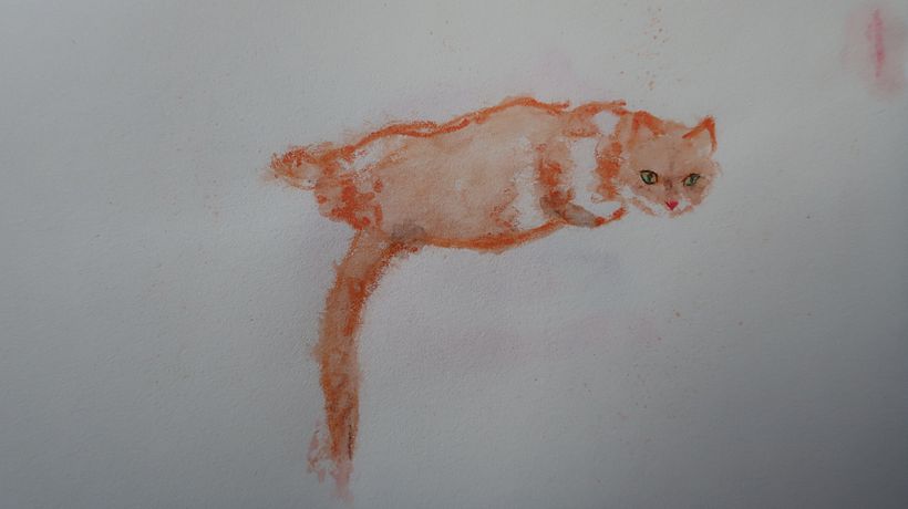 Wes - crayons aquarellables