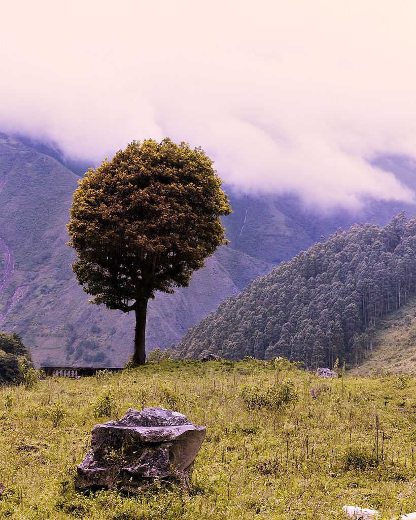 paisaje 2