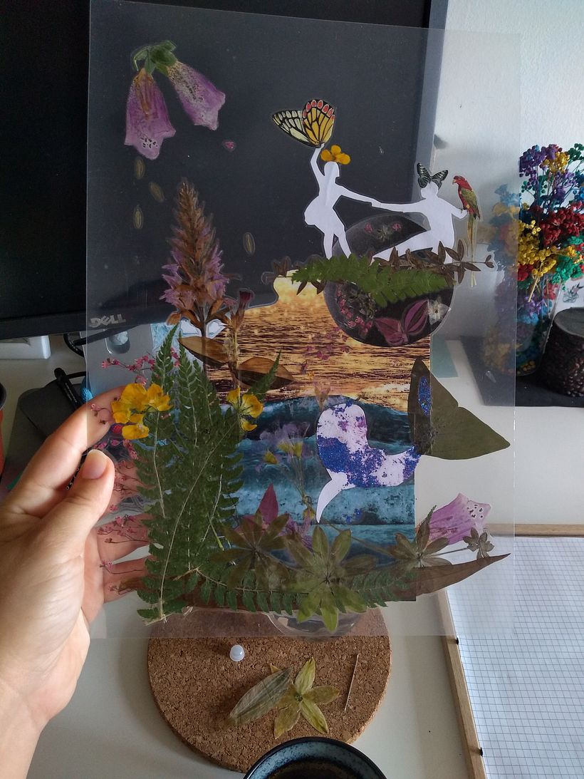 My project in Basic Botanical Pressing Techniques course 4