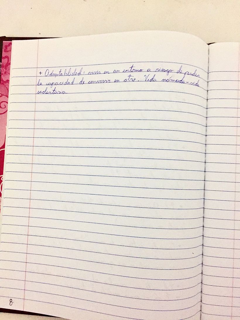 En proceso Cuaderno de Novela