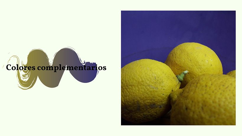 Composiciones fotográficas 3