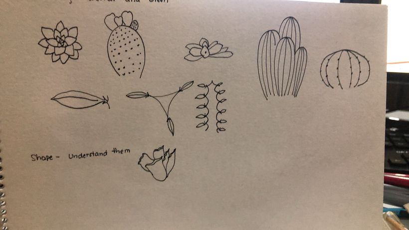 My project in Botanical Sketchbooking: A Meditative Approach course 2