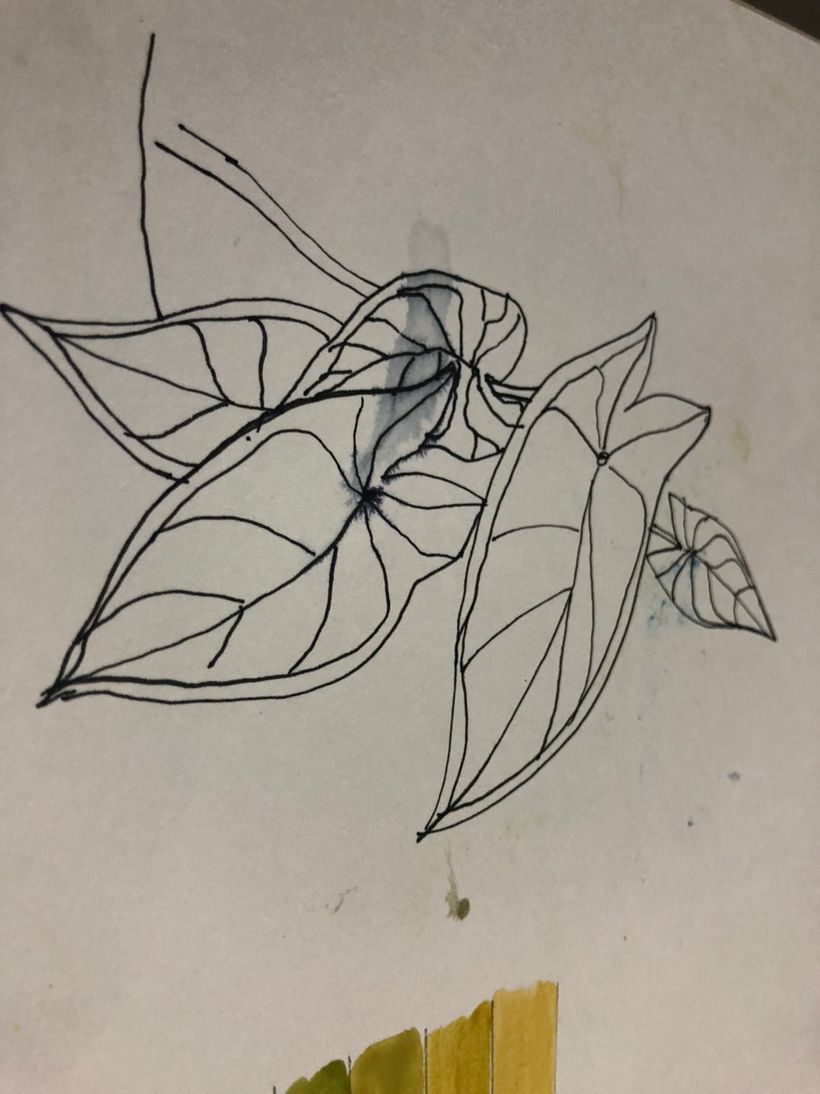 My project in Botanical Sketchbooking: A Meditative Approach course 3