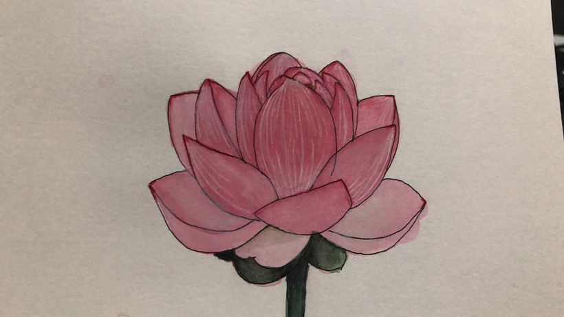 My project in Botanical Sketchbooking: A Meditative Approach course 6