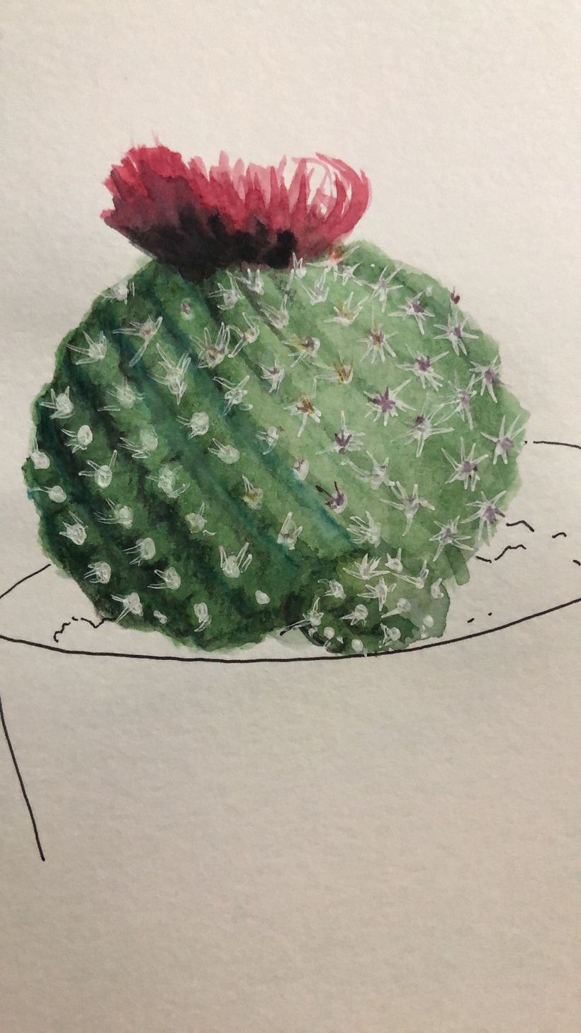 My project in Botanical Sketchbooking: A Meditative Approach course 7