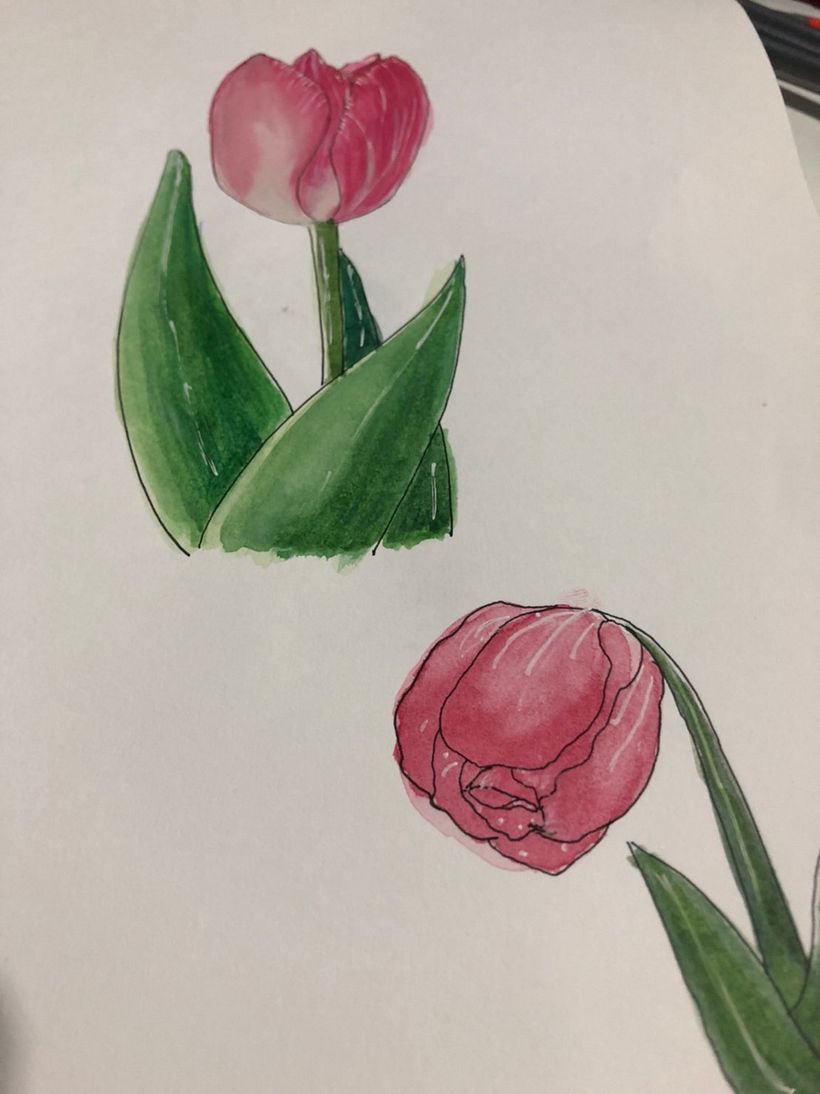 My project in Botanical Sketchbooking: A Meditative Approach course 8
