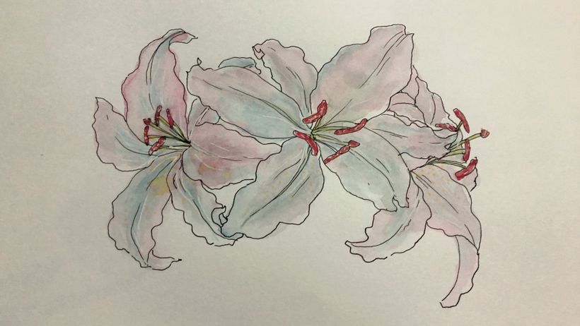 My project in Botanical Sketchbooking: A Meditative Approach course 9
