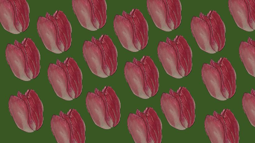 My project in Botanical Sketchbooking: A Meditative Approach course 10