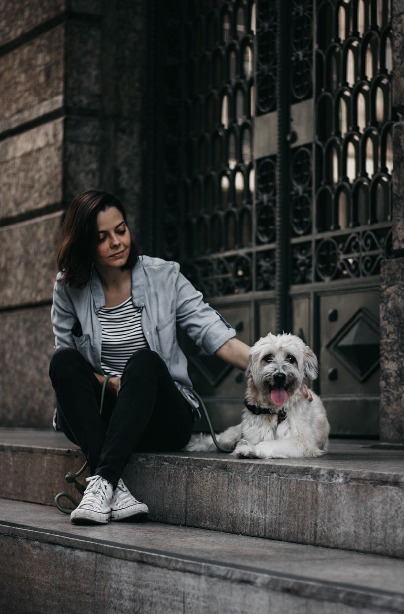 Meu projeto do curso: Fotografia Lifestyle de Cachorros 4