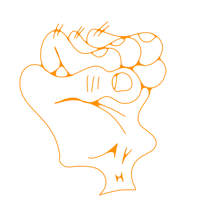 Handz 12